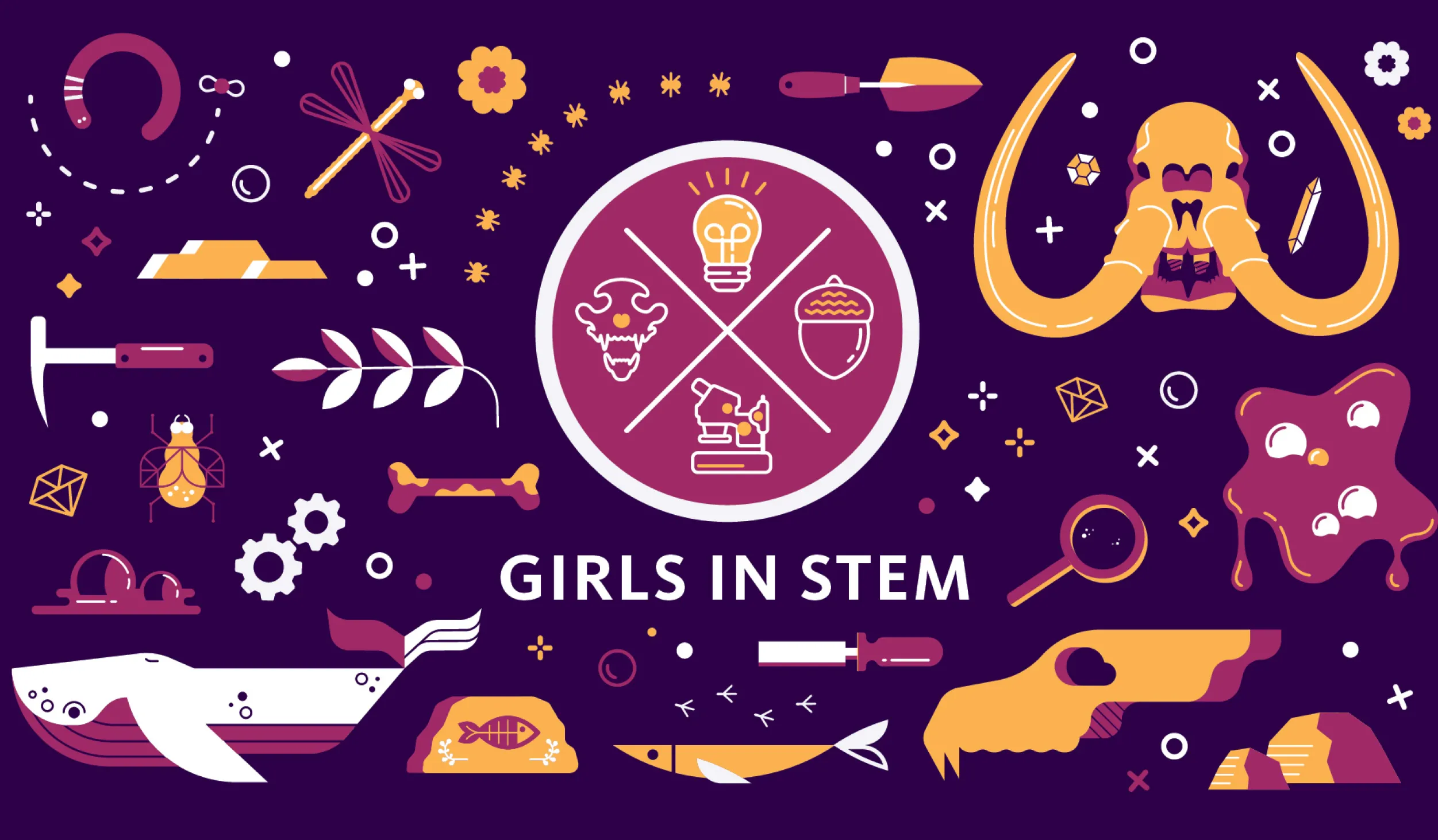 Girls in STEM