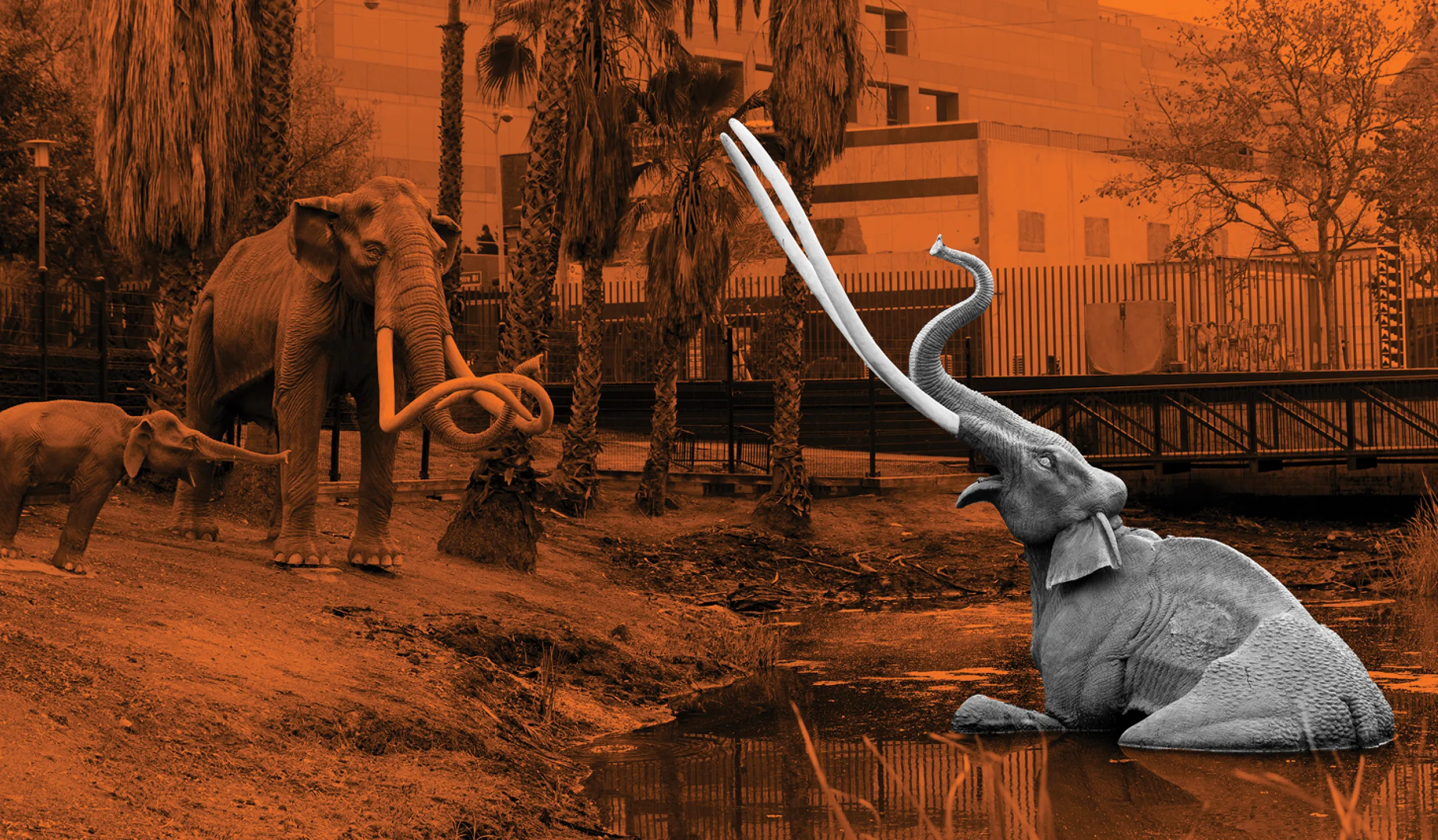 Mammoth in lake pit against an orange background