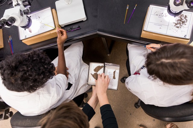 Photo of fossil lab programs at tar pits