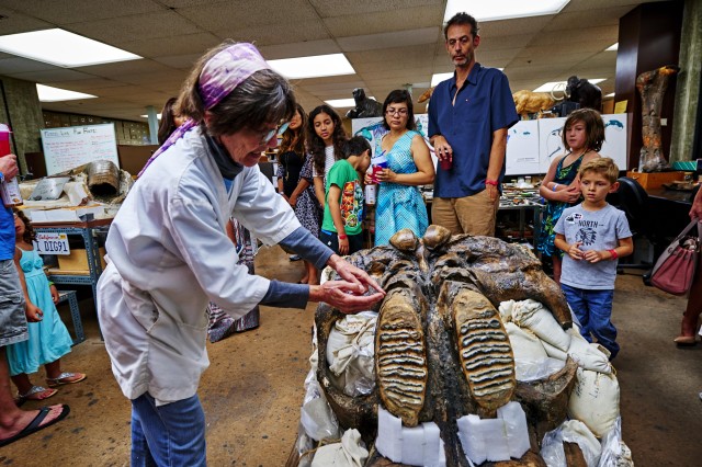 behind the scenes tour at the tar pits fossil lab