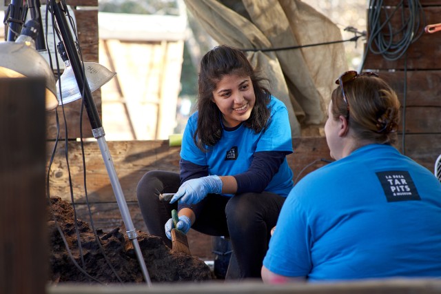 Volunteers cleaning fossils at the Tar Pits