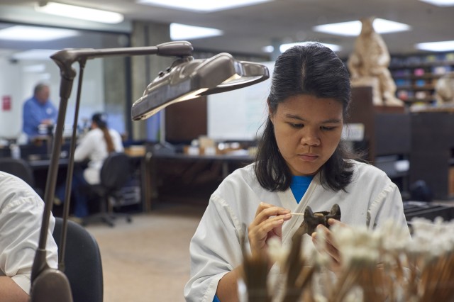 Volunteer in Fossil Lab at La Brea Tar Pits