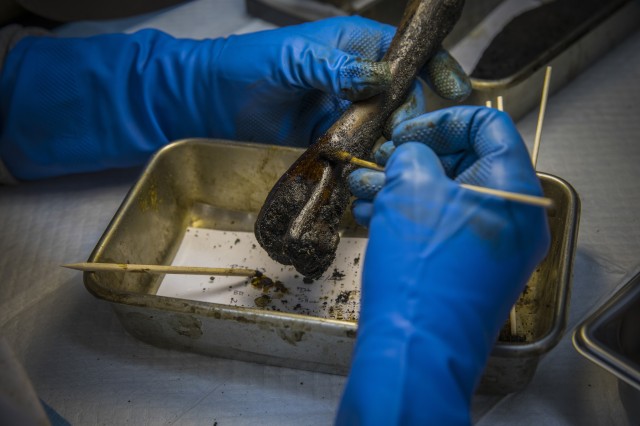 Photograph of two gloved hands cleaning the tar off a fossil bone