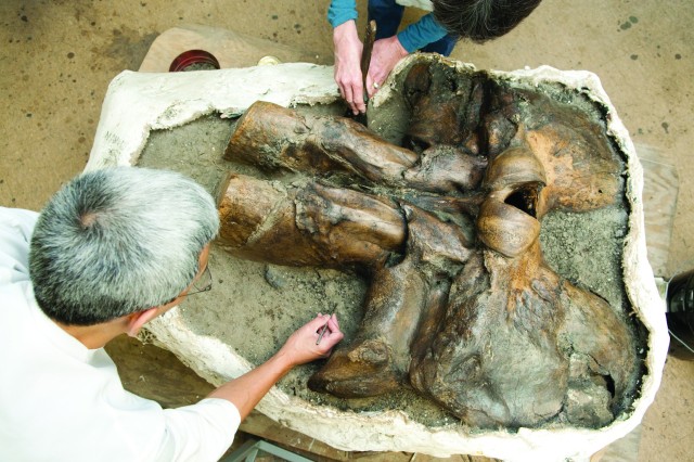Aerial photograph of two people cleaning mammoth fossil
