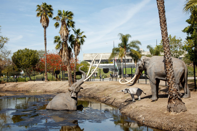 lake pit museum in background la brea tar pits