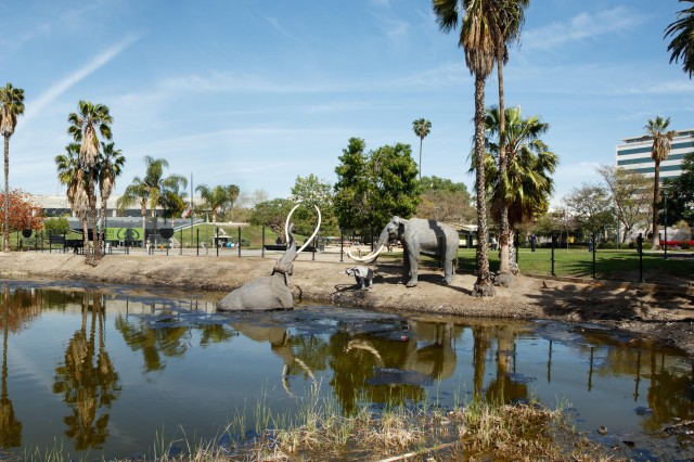 Exterior shot of La Brea Tar Pits and Lake Pit