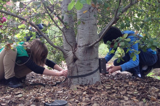 Nature Navigators practicing how to set up a camera trap in NHM Nature Gardens. 