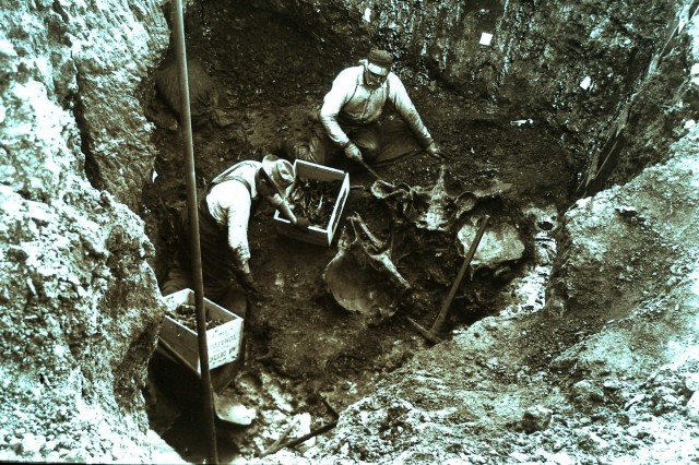historic photo of excavators working at la brea tar pits