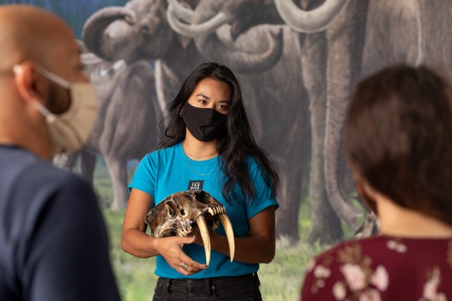 Discoveries from the Tar Pits Masked