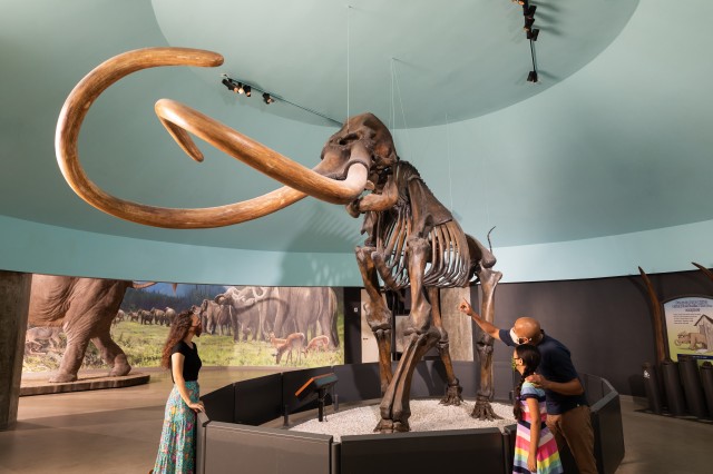 La Brea Tar Pits And Museum Tickets