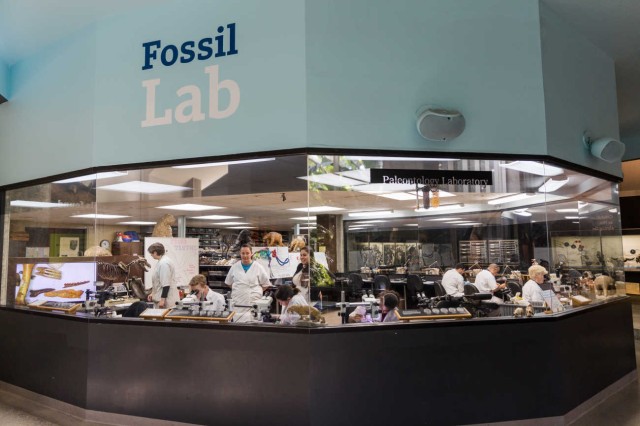 Stop 4 Fossil Lab 1