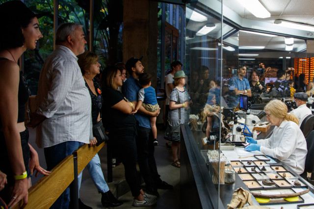 A group of visitors looking through glass at scientists working in the Fossil Lab at La Brea Tar Pits