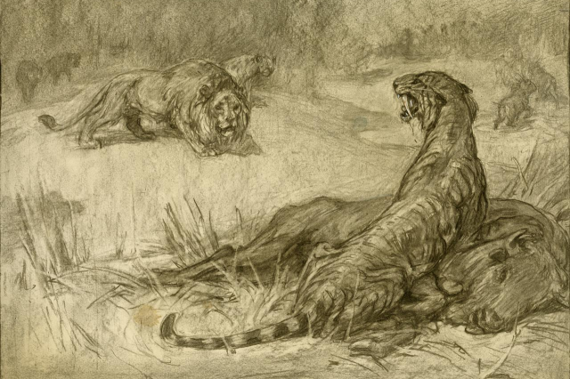 &#039;Saber-toothed tiger&#039; defends its bison meal from an American lion in this early pencil drawing