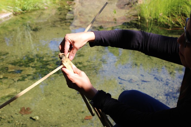 Tule and Its Many Gifts | La Brea Tar Pits