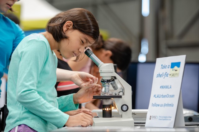 girl wearing long sleeve shirt looks through microscope
