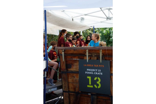 Project 23 Box 13