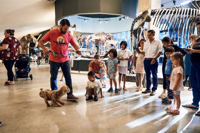 Summer Nights at the Tar Pits 2023 - nibbles