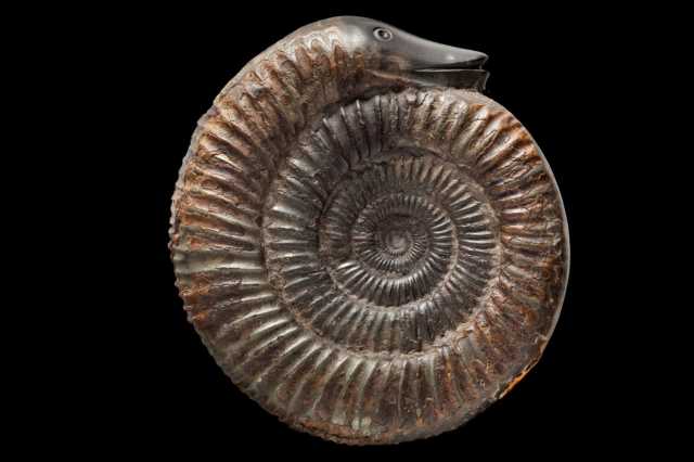 Snakestone