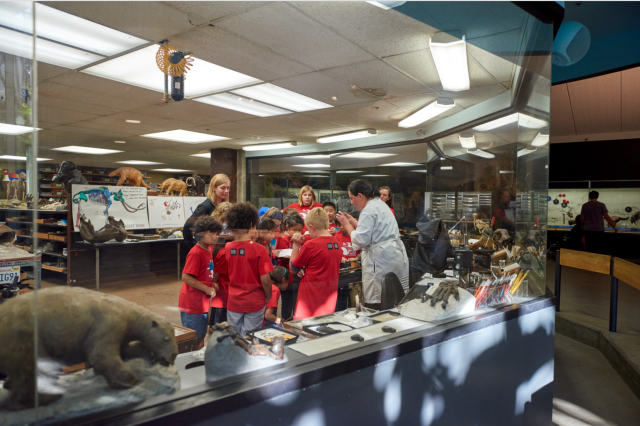 Fossil lab picture