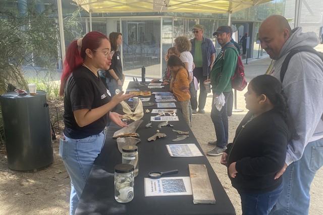 Museum Educators and guests standing on either sides of a table with specimens