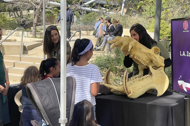 Museum Educators and students standing on either side of a table with a large skull