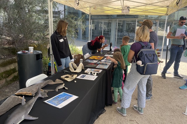 Museum Educators and guests standing on either sides of a table with specimens