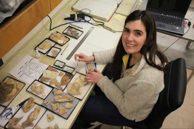 Juliet Hook managing the collections at NHM