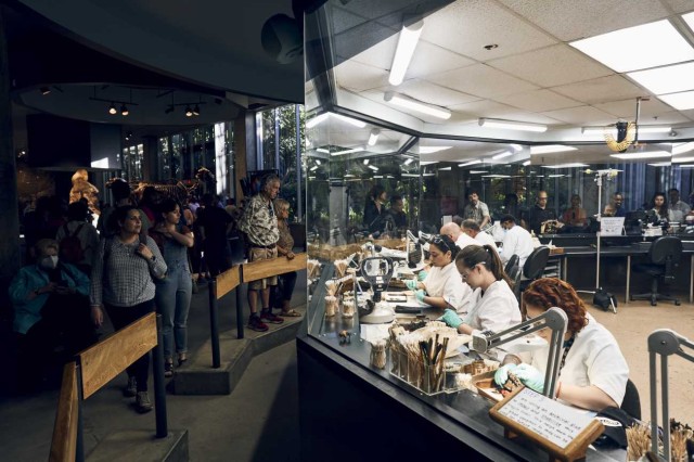 Visitor standing on one side of a glass enclosure with scientists in white lab goats looking at specimens under microscopes on the other side.
