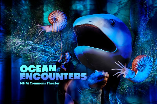 Shark and ammonite puppets against blue and sea-green background