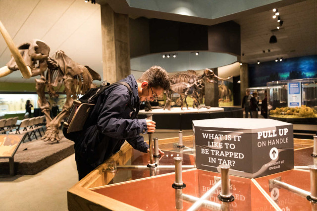 Visitor looking at interactive display