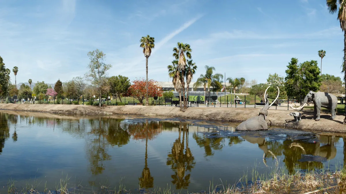 Tar Pits Homepage La Brea Tar Pits