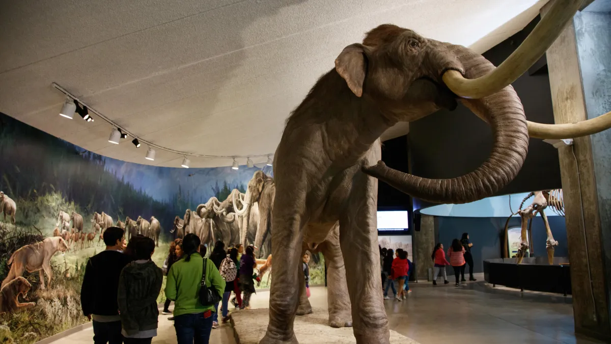 Museum Exhibitions La Brea Tar Pits museum-exhibitions-la-brea-tar-pits