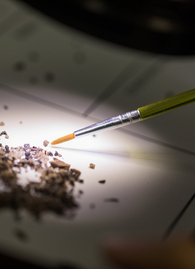 Photo of microfossils being sorted in the Tar Pits micro lab