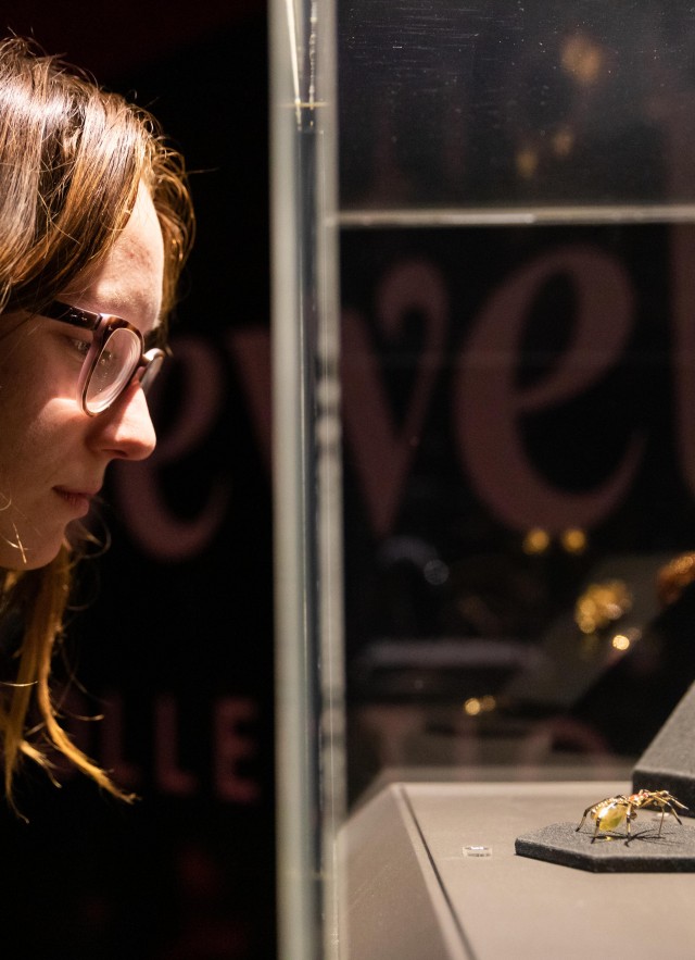 woman in gem vault