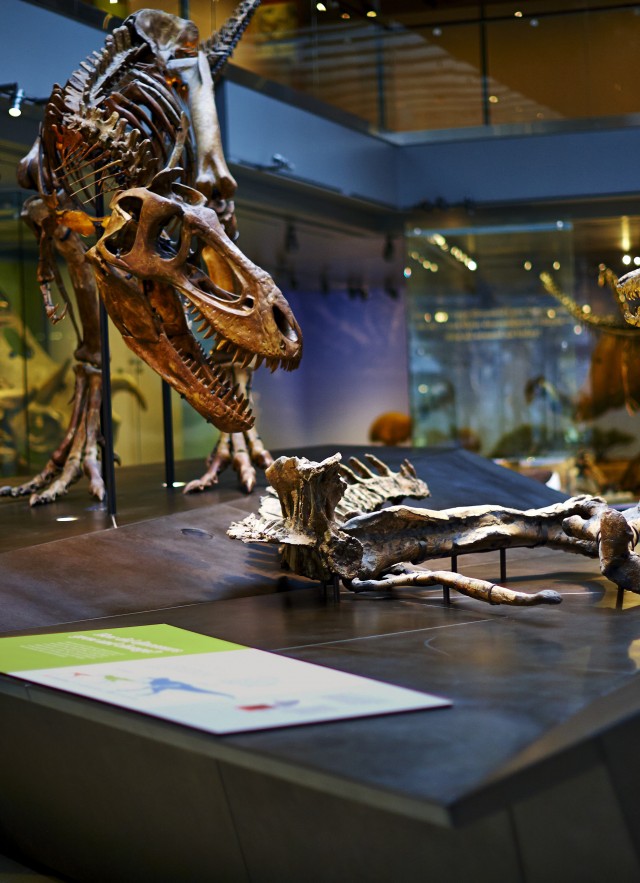Dinosaurs | La Brea Tar Pits