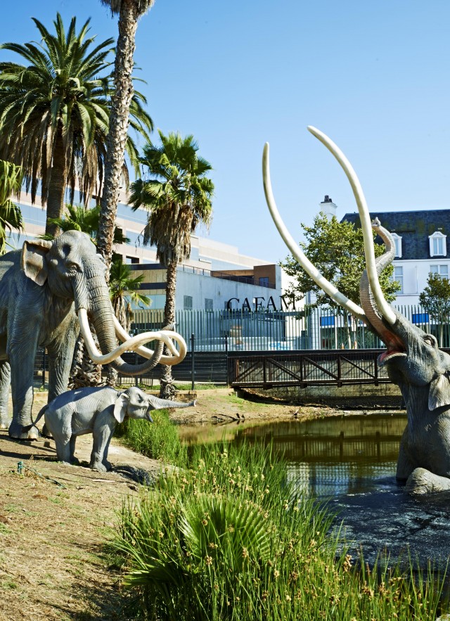 lake pit at la brea tar pits