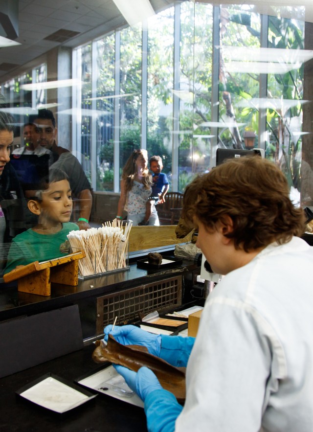 Onlookers watch scientists in the Fossil Lab