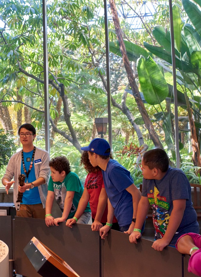 kids on a tour in front of smilodon skeleton at the tar pits