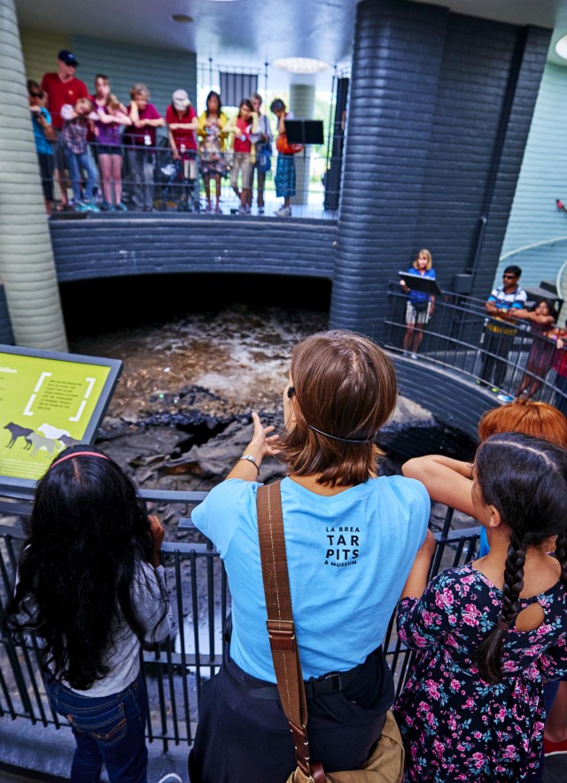 observation pit at the tar pits