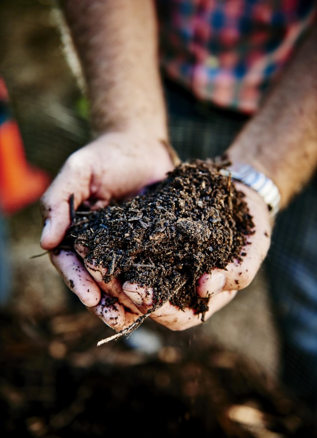 hands holding soil and compost
