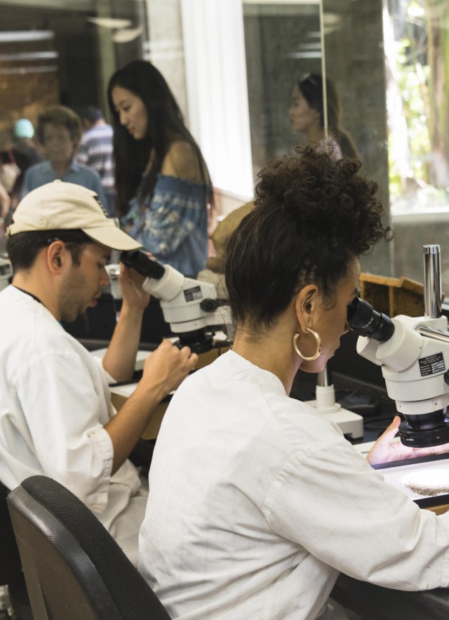 field school students using microscopes in the fossil lab tar pits