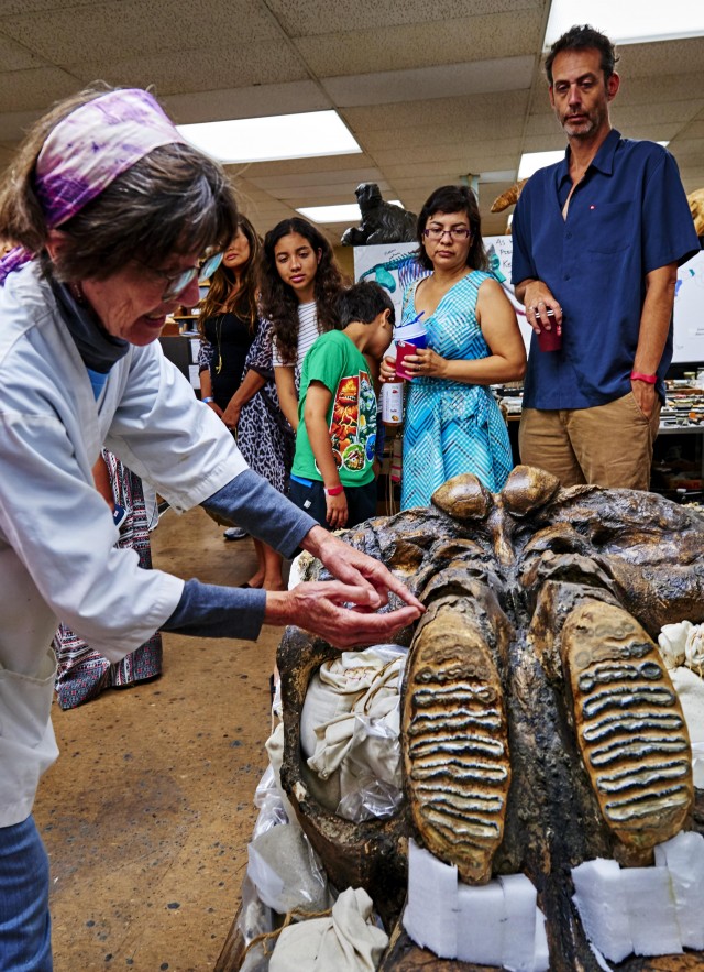 behind the scenes tour at the tar pits fossil lab