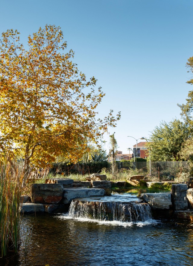 pond and waterfall in nature gardens