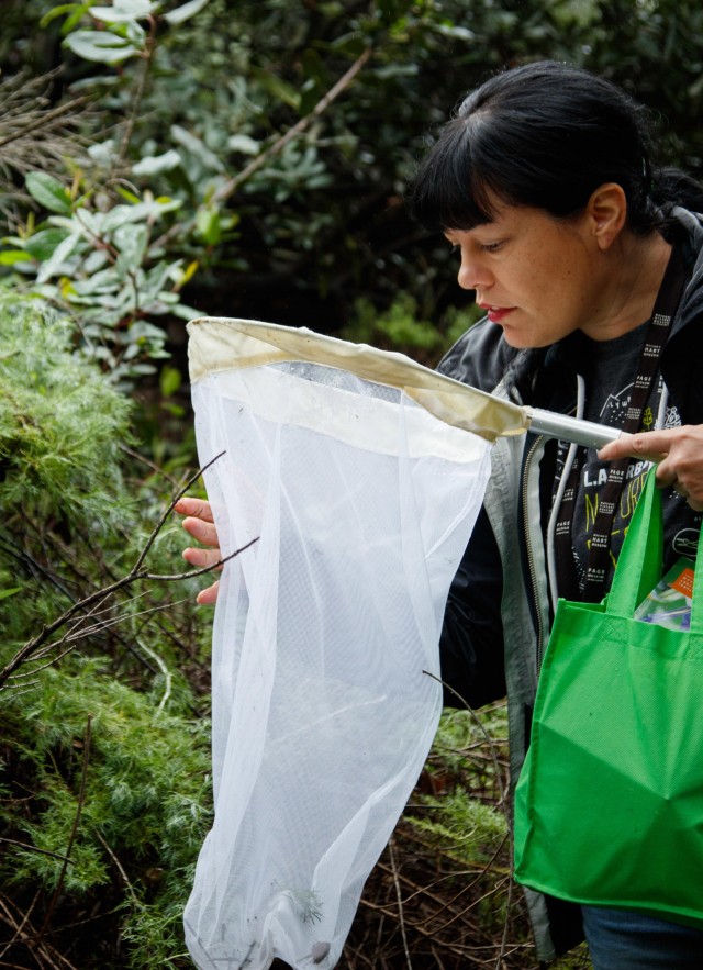 lisa gonzalez holding net bioblitz urban nature research council