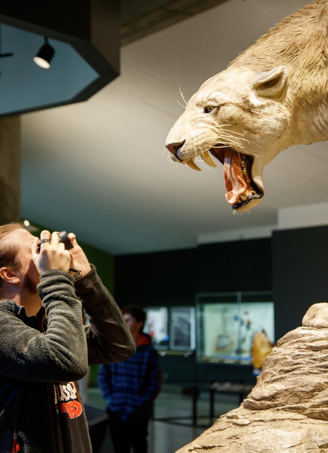 guest taking picture of sabertooth exhibit tar pits interior