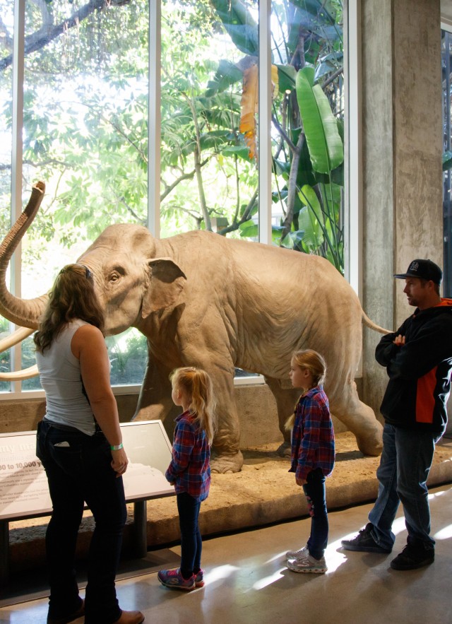 family kids interacting mammoths and mastodons exhibit la brea tar pits