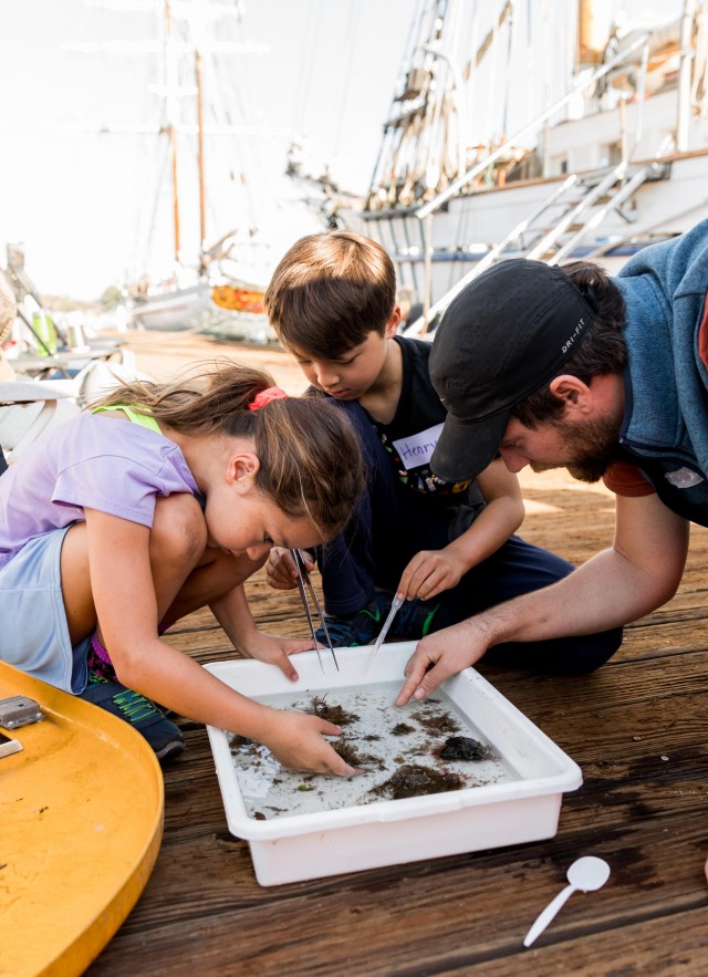 Rough sorting during marine field trip