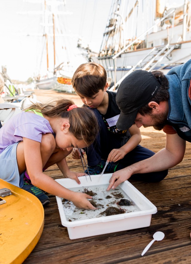 Rough sorting during marine field trip 