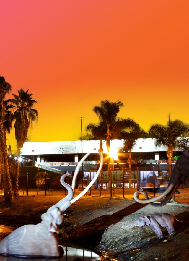 Lake Pit at La Brea Tar Pits and Museum