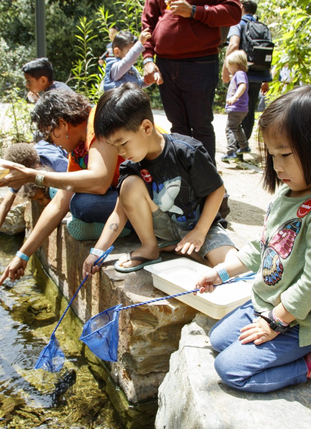 Group of children ponding in the Nature Gardens at NHM